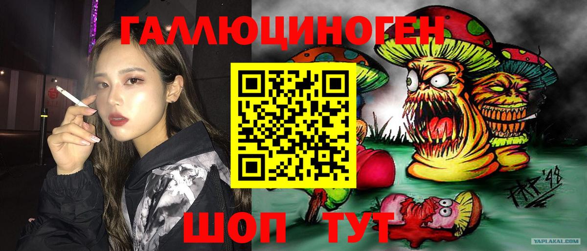Псилоцибиновые грибы GOLDEN TEACHER  Галлюциногенные грибы Cubensis  Вход с VPN  Нижнеудинск 